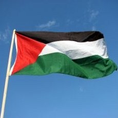 Masjid Palestina di Tepi Barat Dirusak Sekelompok Orang Tak Dikenal