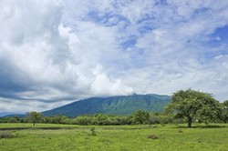 Inilah Afrika di Pulau Jawa