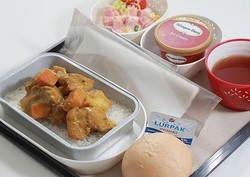 8 Maskapai Dengan Makanan Kelas Ekonomi yang Enak (2)