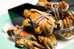 Memasak Kepiting Segar Agar Tidak Anyir