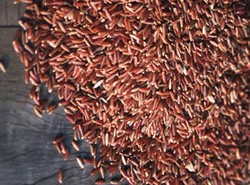 Harga Beras Putih Melonjak, Beras Merah Naik Daun