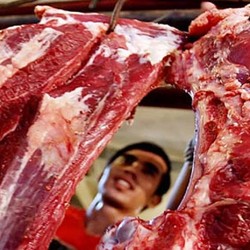 Begini Caranya Supaya Produksi Daging Sapi RI Meningkat