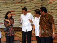 Jokowi dan 4 Menteri Blusukan ke Gudang Bulog