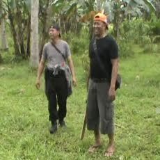 Empat Anjing Diterjunkan Buru Kera-kera yang Melukai Warga Jember