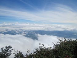 Cikuray sang samudra awan