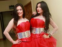 Merah Membara Duo Serigala