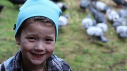 Burung Gagak Beri Hadiah untuk Seorang Anak di AS