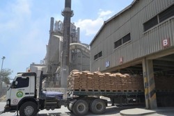 Ini Penyebab Harga Semen di Papua Rp 2 Juta/Sak