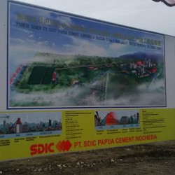 Perusahaan China Bangun Pabrik Semen Pertama Hingga Pembangkit Listrik Rp 6 T di Papua