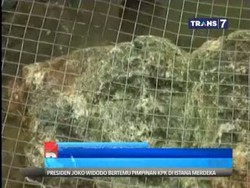 Heboh Penemuan Batu Berbentuk Wajah Manusia