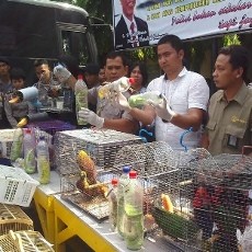 Penyelundupan Satwa Dilindungi Digagalkan di Pelabuhan Tanjung Perak