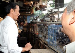 Jokowi Tak Ikutan Demam Batu Akik