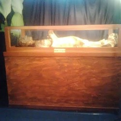 Belajar Sejarah Islam dari Pameran Replika Mumi Firaun