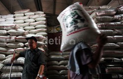 Harga Beras Naik Bukan Karena Mafia, Ini Penyebabnya
