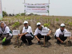 TMMIN Hijaukan Pantai Utara Jawa