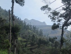 Ini Tempat Terbaik Melihat Gunung Merapi & Merbabu