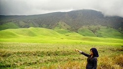 Beginilah Bukit Teletubbies di Gunung Bromo