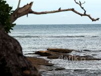 Pesona Pantai Blambangan