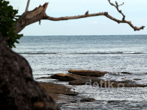 Pesona Pantai Blambangan