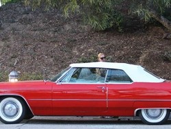 Dikado Mobil Antik oleh Fans Fanatik, Paris Hilton Lapor Polisi