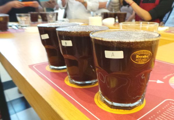 Mengintip Serunya Belajar Coffee Cupping di Indonesian Coffee Academy