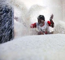 Harga Beras di Petani Turun, Tapi Kok di Pasar Naik?