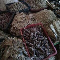 Saingi Daging Sapi, Harga Ikan Teri Medan Naik 30% Jadi Rp 100.000/Kg