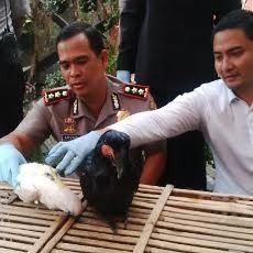 Satwa Dilindungi dari Atas Kapal Kembali Diselamatkan