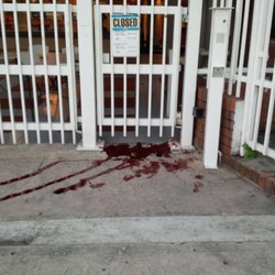 Jokowi Anggap Teror Darah di KJRI Sydney Hanya Insiden Kecil