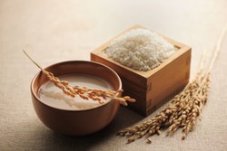 Terigu dan Nasi, Mana yang Lebih Bernutrisi?