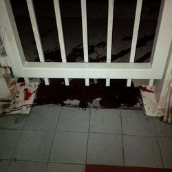 KJRI Sydney Diteror Darah, JK: Kita Tidak Mengharapkan Itu