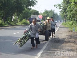 Para Pemanggul Belerang yang Menantang Bahaya dan Penjual Bambu Maraton