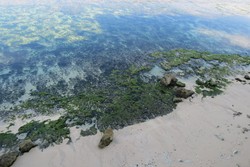 Ajaib, Pantai di Bali Ini Bisa Menghilang