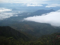 Pertama Kali Mendaki? Ke Gunung Lawu Saja