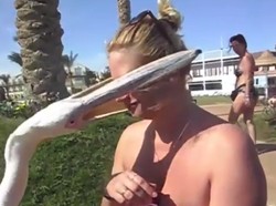 Ketika Turis Seksi Dilahap Burung Pelikan