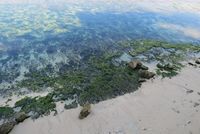 Ajaib, Pantai di Bali Ini Bisa 'Menghilang'