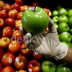 2 Kontainer Apel Impor AS Berbakteri Mematikan Masih Tertahan di Priok