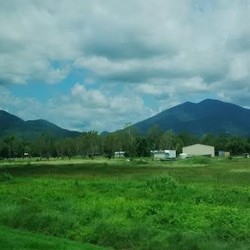 Di Kota Australia Ada Pelabuhan yang Punya Area Khusus untuk Sapi