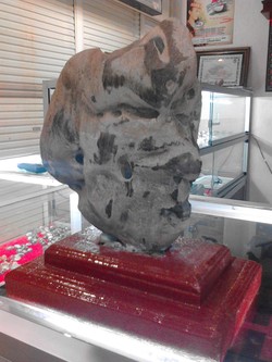 Disebut Menyerupai Wajah Gajah Mada, Batu ini Pikat Pengunjung Mal Medan