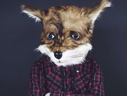 Rubah dari Argentina Ini Rajin Traveling!