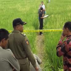 Sesosok Mayat Wanita Ditemukan Tertelungkup di Sawah