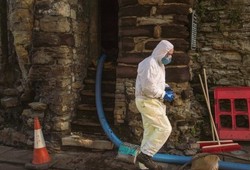 25 Ton Kotoran Merpati Rusak Gapura Bersejarah di Inggris