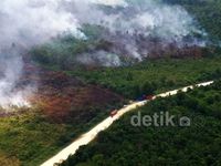 Api Lalap Lahan dan Hutan di Riau