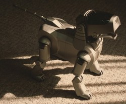 Di Jepang, Robot Ikut Dimakamkan Layaknya Keluarga