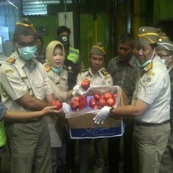 36 Ton Apel Impor AS Berbakteri Mematikan Dibakar di Karawang