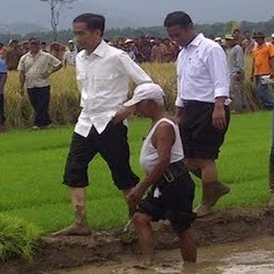 Di Depan Petani, Jokowi Janji Naikkan Harga Gabah Bulan Ini