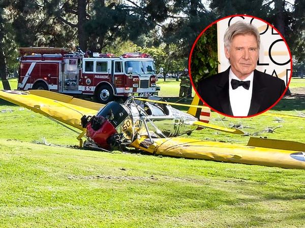 Ini Kondisi Pesawat yang Dinaiki Harrison Ford Setelah Kecelakaan