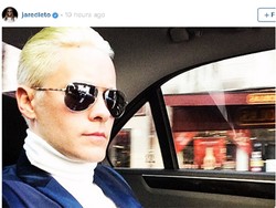 Perankan Joker, Jared Leto Cat Rambut Pirang