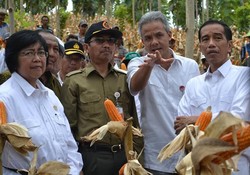 Jokowi Tinjau Sistem Pertanian Terpadu di Lahan Hutan Blora Jateng
