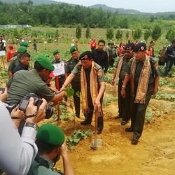 Bangun Ekosistem Lestari, Panglima TNI Tanam Pohon di Perbatasan Kalbar